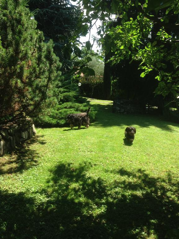 Il Pioppo Antico Apartment Viggiù Екстериор снимка